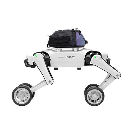 Rover X1 Official Cargo Carrier Kit | Storage Bag + Mounting Frame Set - INFFNI