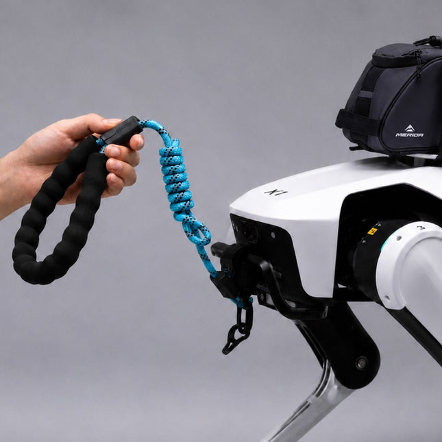 Rover X1 Traction Kit (Collar + Leash) - INFFNI