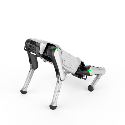 Rover X1 — Your First Robot Dog - INFFNI