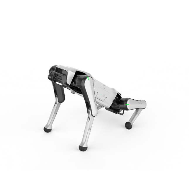 Rover X1 — Your First Robot Dog - INFFNI