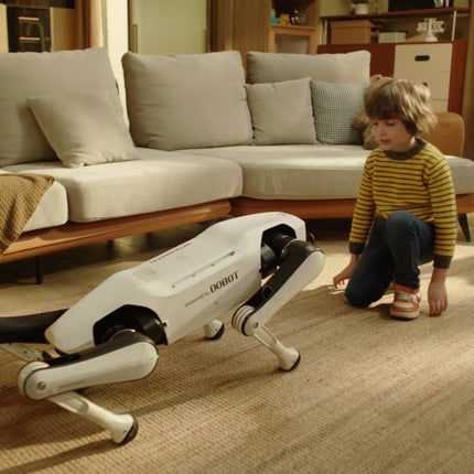 Rover X1 — Your First Robot Dog - INFFNI