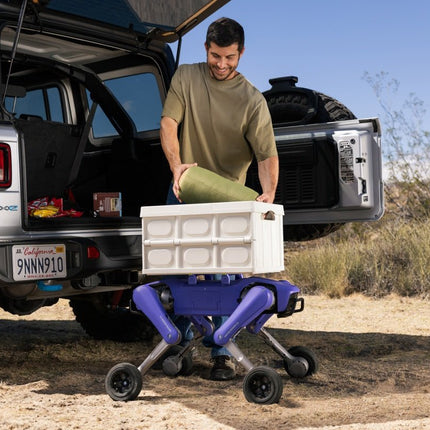 Rover X1 — Your First Robot Dog - INFFNI