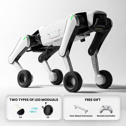 Rover X1 — Your First Robot Dog(Pre - sale) - INFFNI