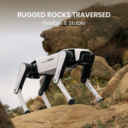 Rover X1 — Your First Robot Dog(Pre - sale) - INFFNI