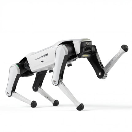 Rover X1 — Your First Robot Dog(Pre - sale) - INFFNI