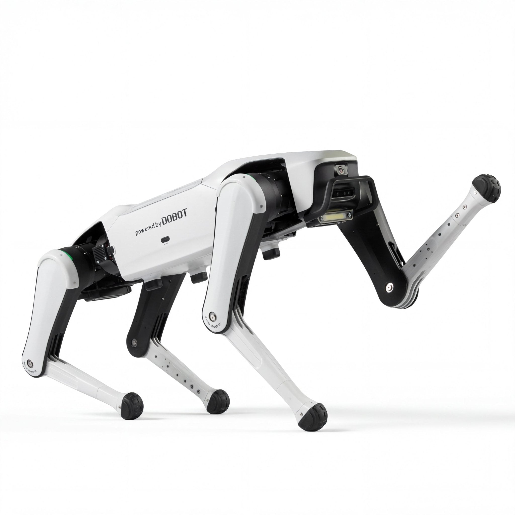 Rover X1 — Your First Robot Dog(Pre - sale) - INFFNI