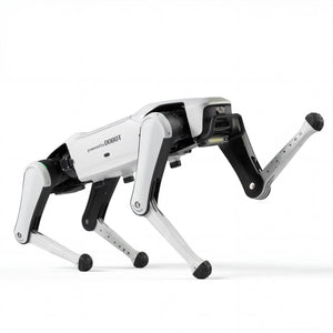 Rover X1 — Your First Robot Dog(Pre - sale) - INFFNI