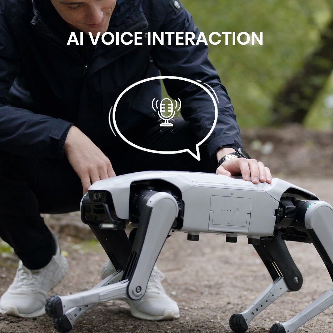 Rover X1 — Your First Robot Dog(Pre - sale) - INFFNI