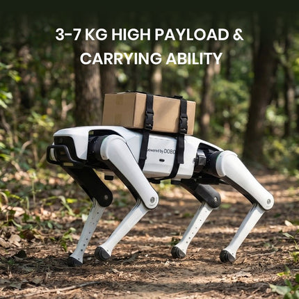 Rover X1 — Your First Robot Dog(Pre - sale) - INFFNI